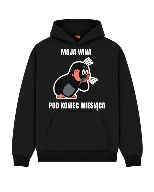 Bawełniana Bluza - Moja mina pod koniec miesiąca